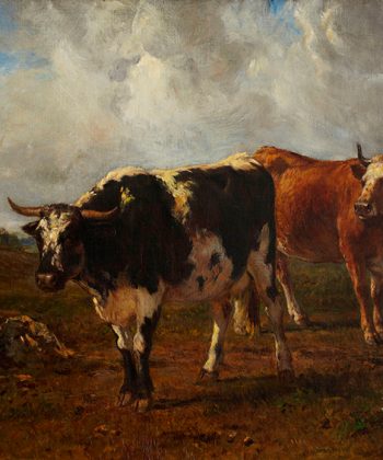 Constant Troyon. Sortbroget ko og rød ko på en mark. (1840-50). Inv.nr. 233 WH. Fotograf Anders Sune Berg