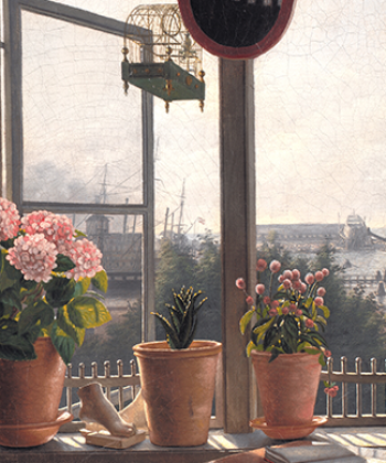 plantefeber_kategori_web